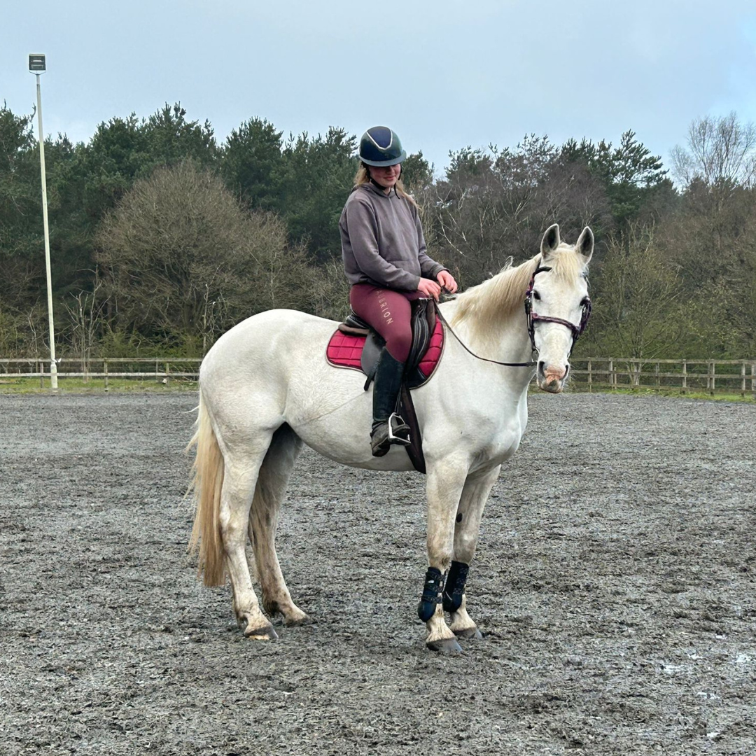 Horse of the week - Rosie