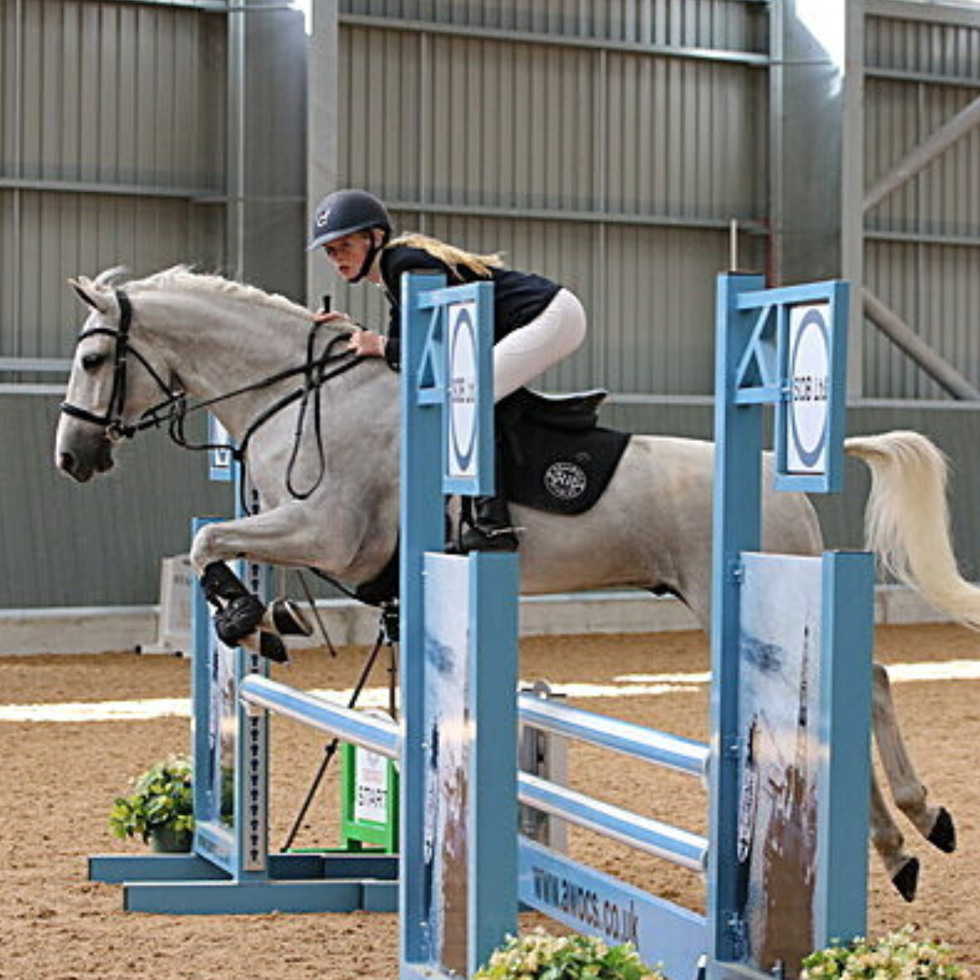 Smartie, an EquiNectar customer horse