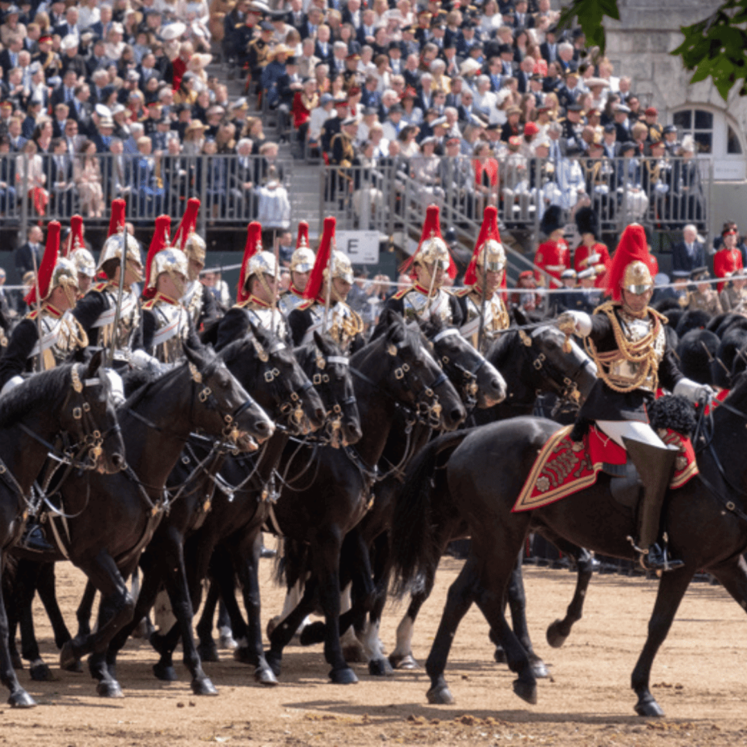 Household Cavalry horses