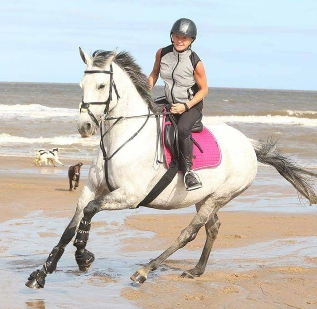 Darcy, an EquiNectar customer horse