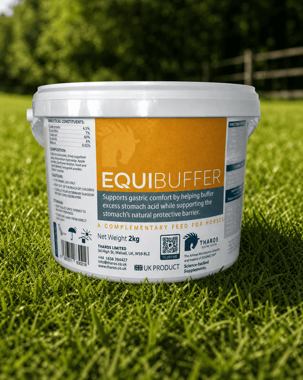 EquiBuffer