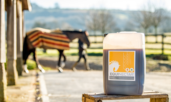 EquiNectar