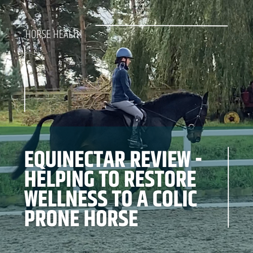EquiNectar Review Helping to restore wellness to a colic prone horse