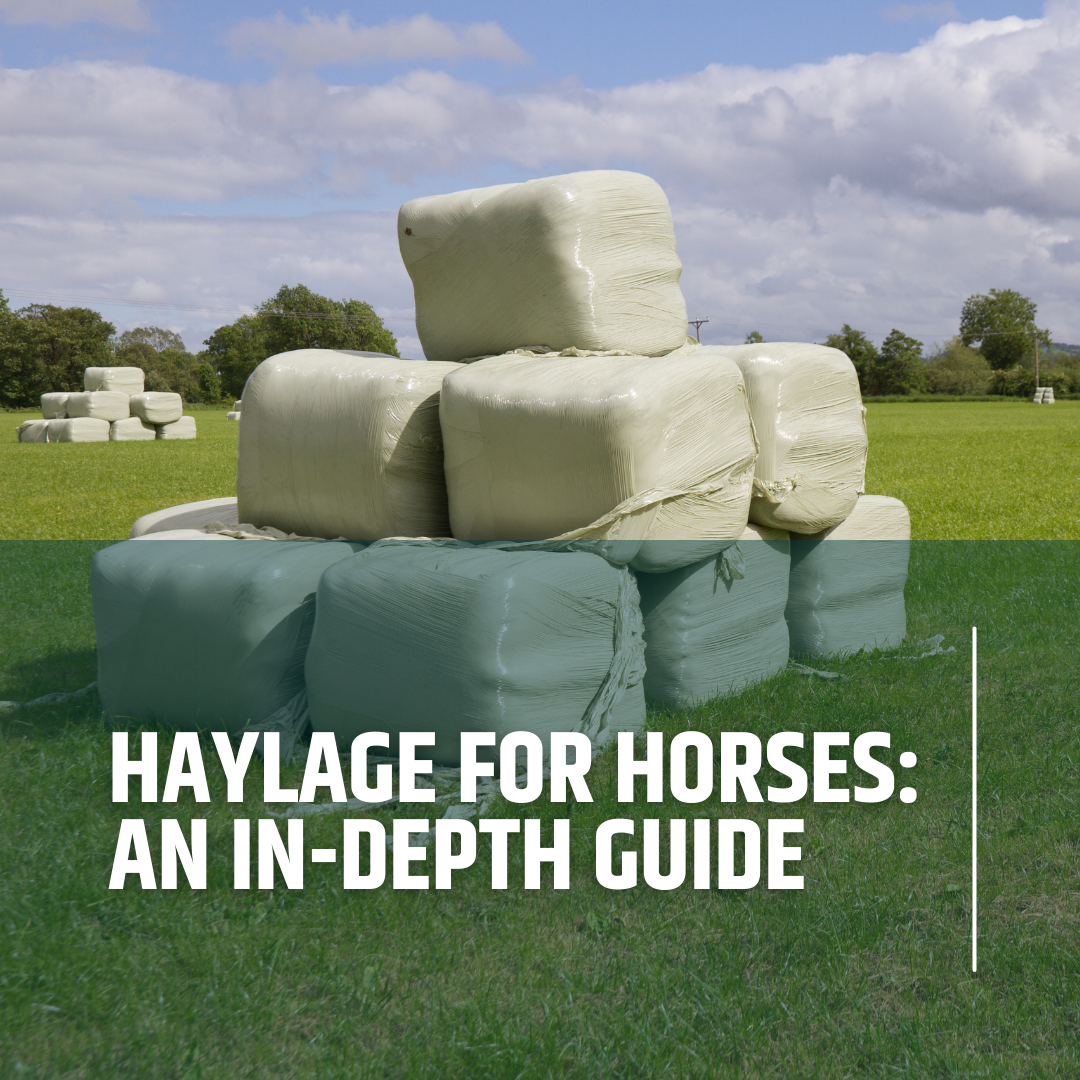 Haylage for Horses An InDepth Guide