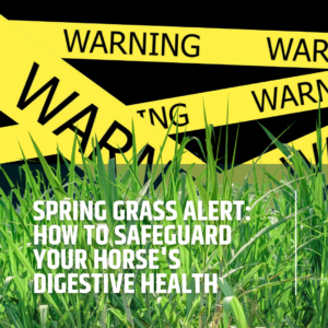 Spring Grass Alert: How to Safeguard Your Horse’s Digestive Health